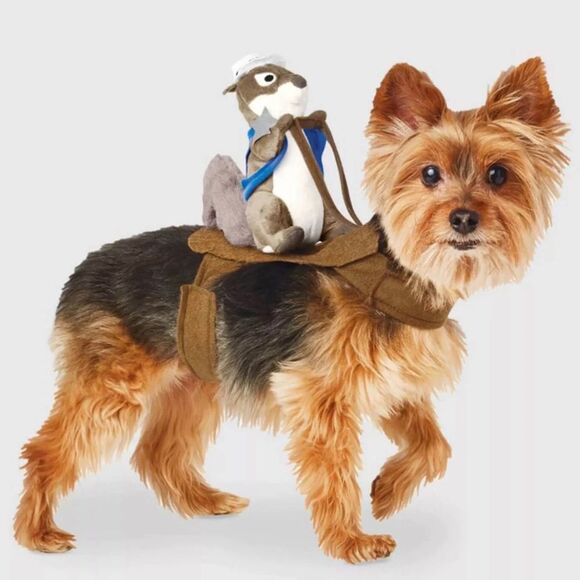 Sheriff Squirrel Dog Halloween Costume - Picture 1 of 2